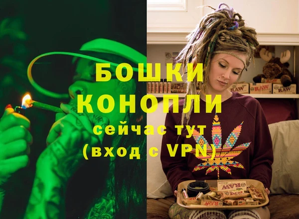 PSILOCYBIN Богородск