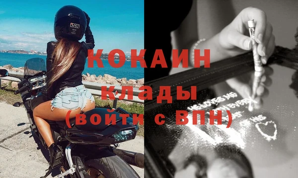 прущие грибы Богородицк