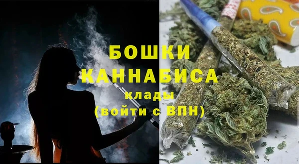 PSILOCYBIN Богородск
